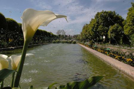 Cordoue - les jardins de l'Alcazar de los Reyes Cristianos